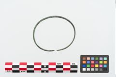 Foto von Bronzebandarmreif (NHMW-PRAE-024993)
